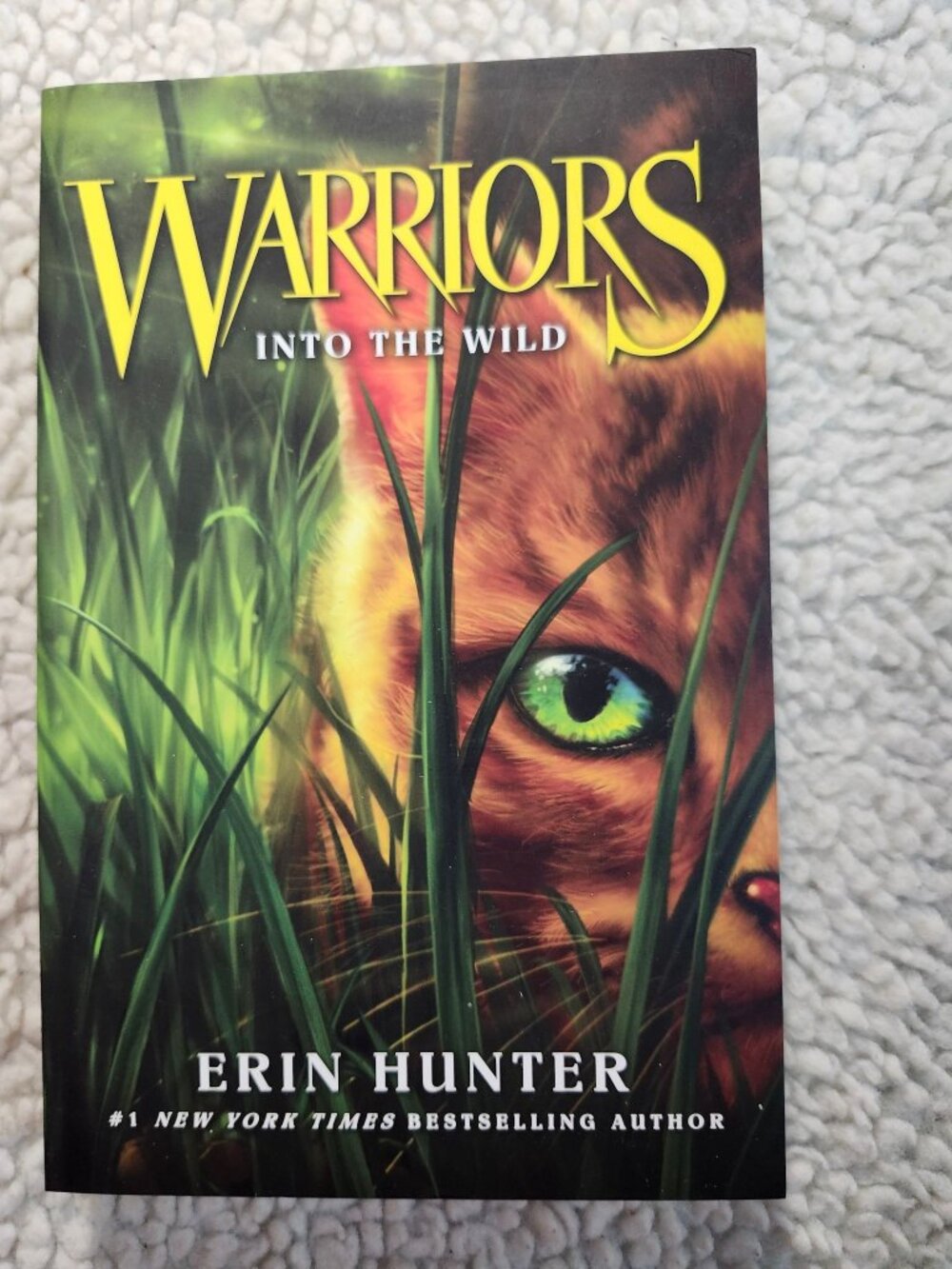 Warriors Into the Wild Erin Hunter Paperback HarperCollins Book 1 Kids Fantasy